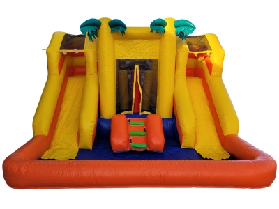 Bouncy castle wih double slide Palms